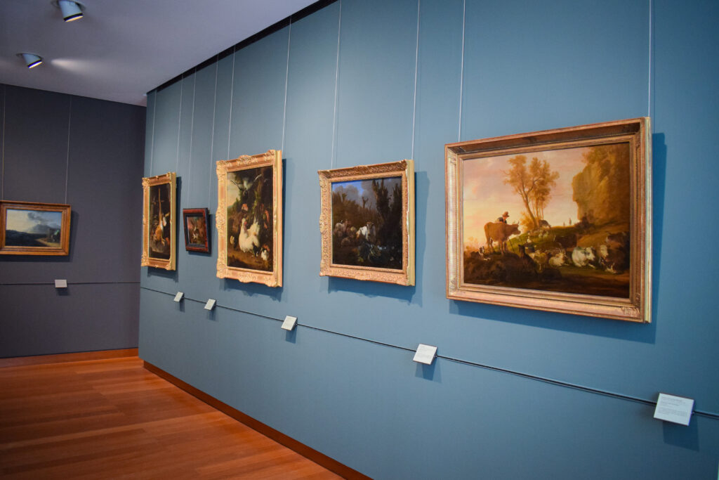 Château de Caen : Mille an d'histoire 2 Musée Beaux Art Chateau Caen